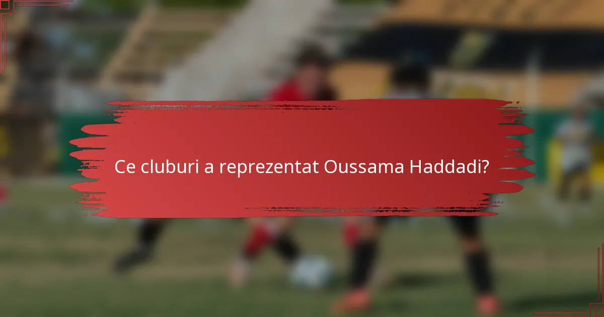 Ce cluburi a reprezentat Oussama Haddadi?