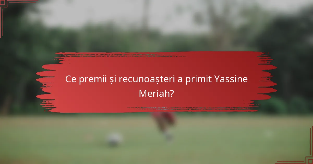 Ce premii și recunoașteri a primit Yassine Meriah?